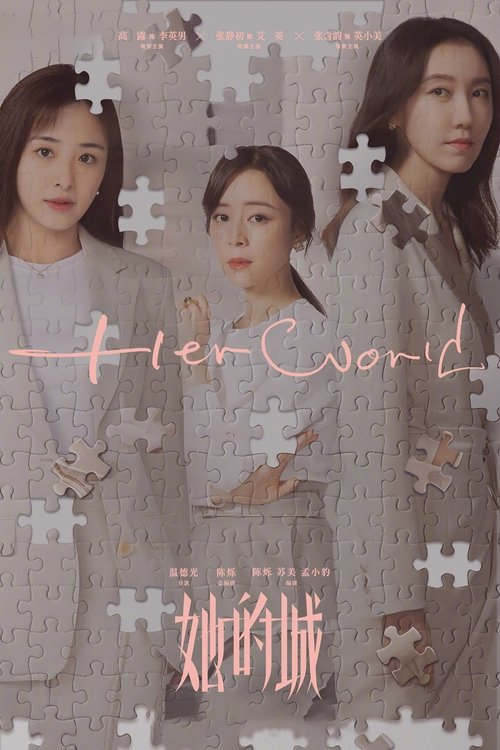 Póster de 她的城