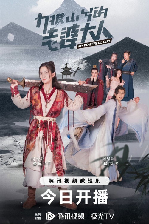 Póster de 力拔山兮的老婆大人