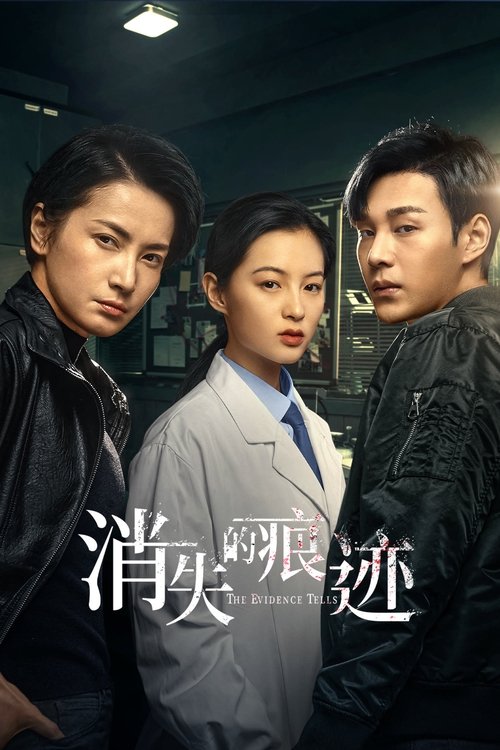 Póster de 消失的痕迹