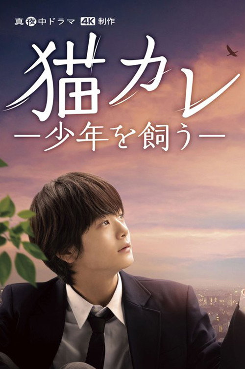 Póster de 猫カレ -少年を飼う-