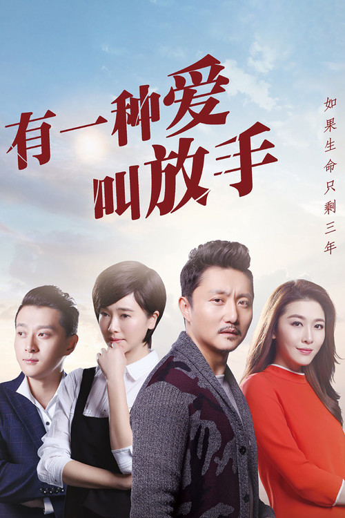Póster de 有一种爱叫放手