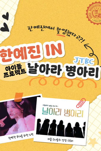 Póster de 날아라 병아리