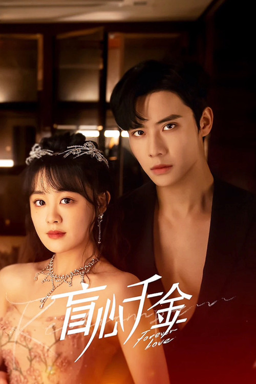 Póster de 盲心千金