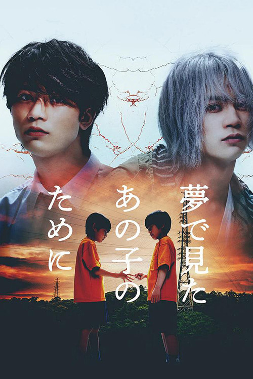 Póster de 夢で見たあの子のために
