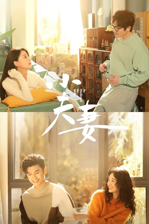 Póster de 小夫妻