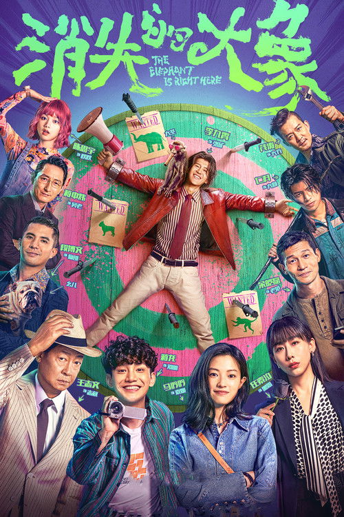 Póster de 消失的大象