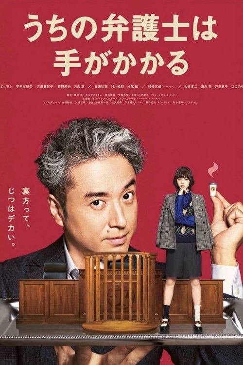 Póster de うちの弁護士は手がかかる