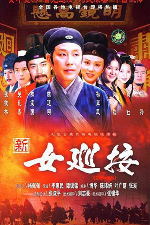Póster de 女巡按