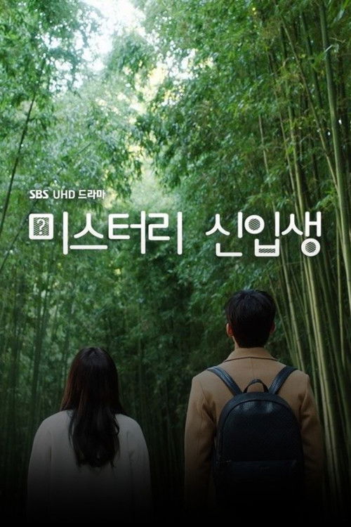 Póster de 미스터리 신입생