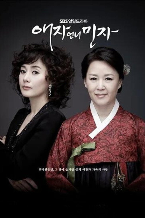 Póster de 애자언니민자