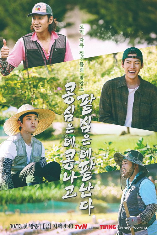 Póster de 콩 심은 데 콩 나고 팥 심은 데 팥 난다
