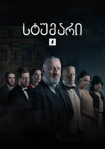 Póster de სტუმარი