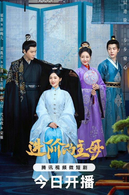 Póster de 进阶的主母