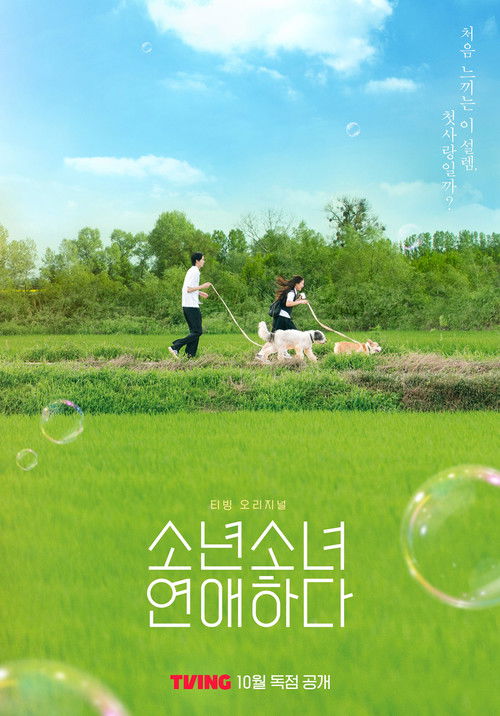 Póster de 소년 소녀 연애하다