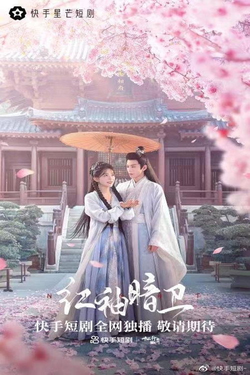 Póster de 红袖暗卫