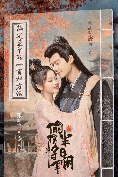 Póster de 偷得将军半日闲