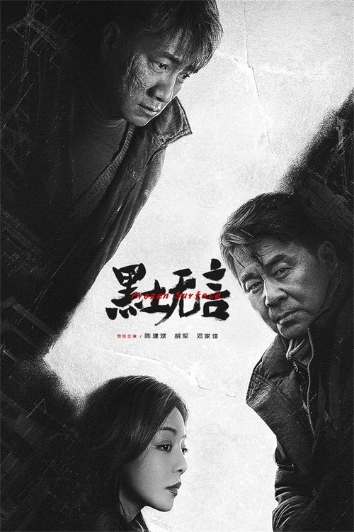 Póster de 黑土无言