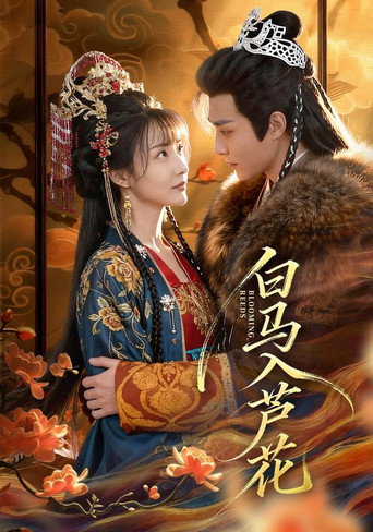 Póster de 白马入芦花