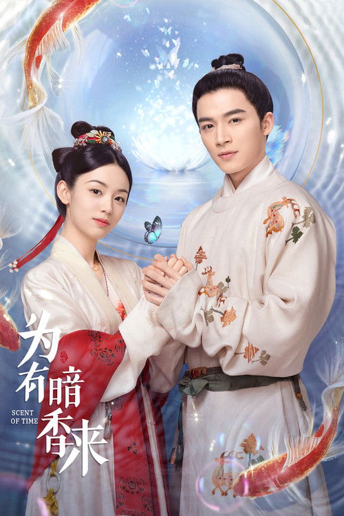 Póster de 为有暗香来