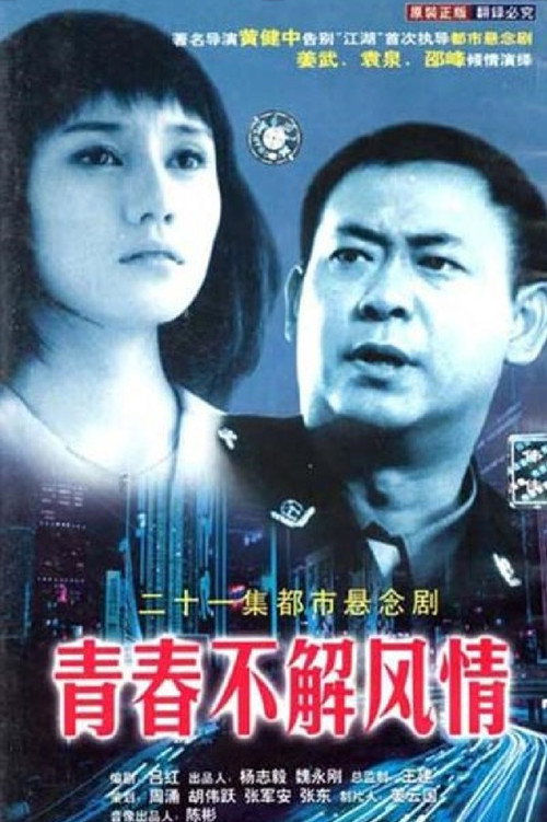 Póster de 青春不解风情