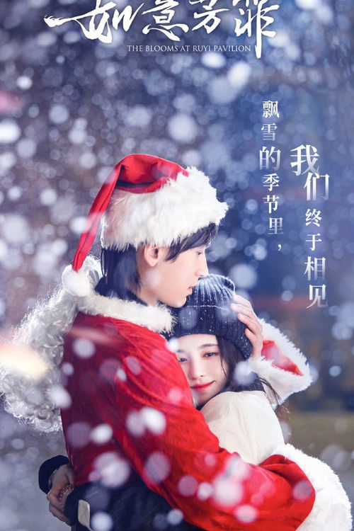 Póster de 如意芳霏番外