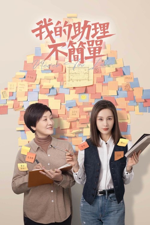 Póster de 我的助理不简单