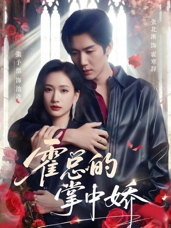 Póster de 霍总的掌中娇