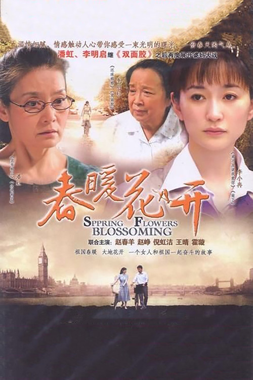 Póster de 春暖花开