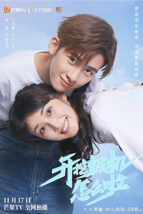 Póster de 开挖掘机怎么啦