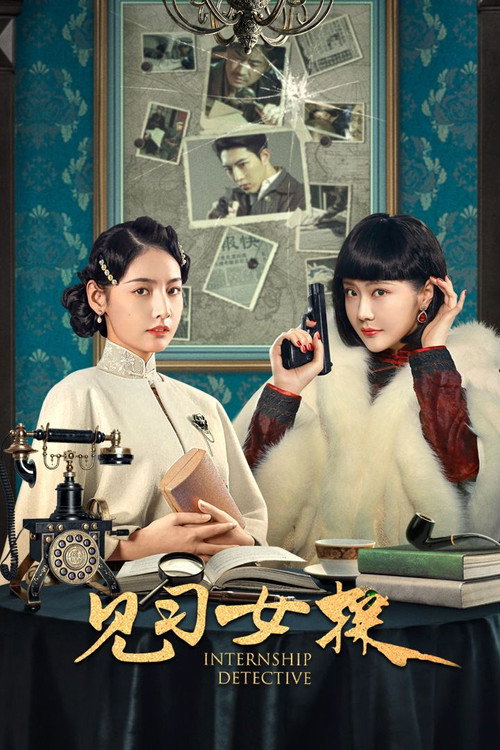 Póster de 见习女探