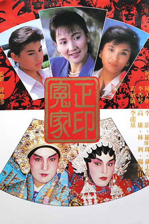 Póster de 正印冤家