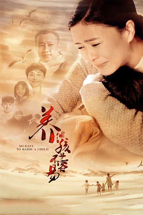 Póster de 养个孩子不容易