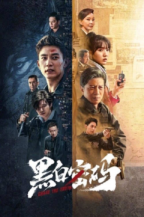 Póster de 黑白密码