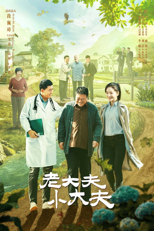 Póster de 老大夫小大夫