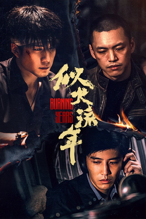 Póster de 似火流年