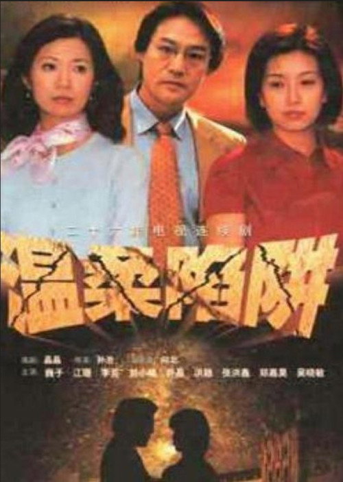 Póster de 温柔陷阱