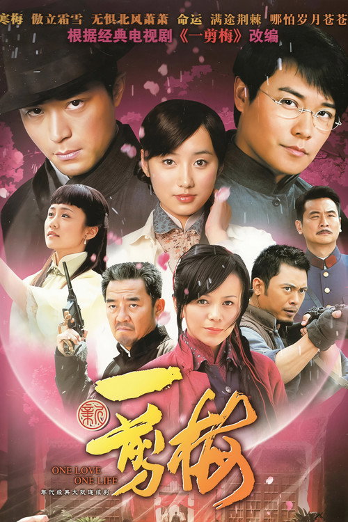 Póster de 新一剪梅