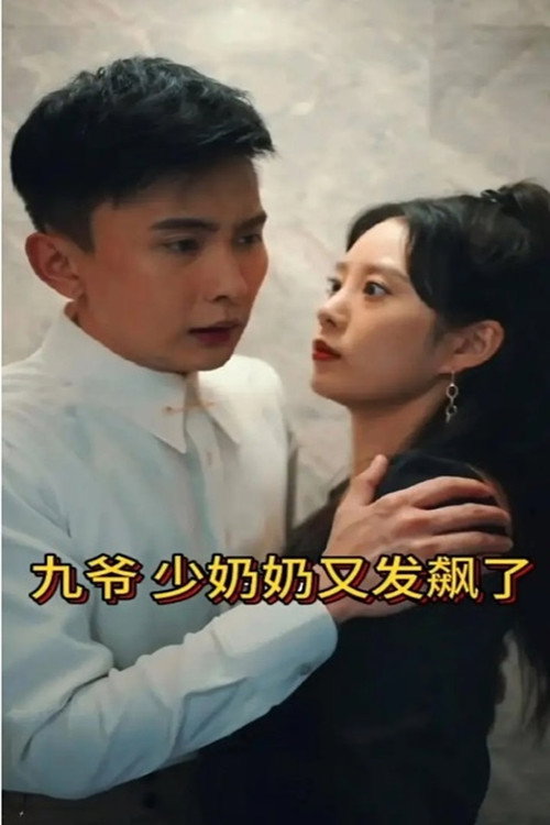 Póster de 九爷，少奶奶又发飙了