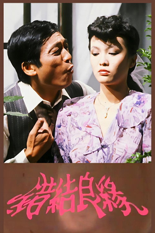 Póster de 错结良缘