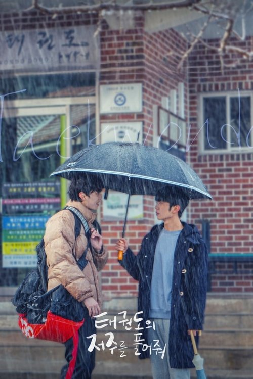Póster de 태권도의 저주를 풀어줘