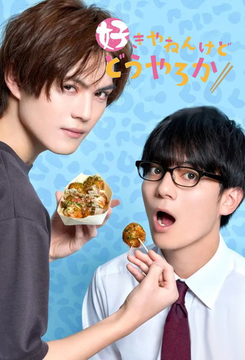 Póster de 好きやねんけどどうやろか