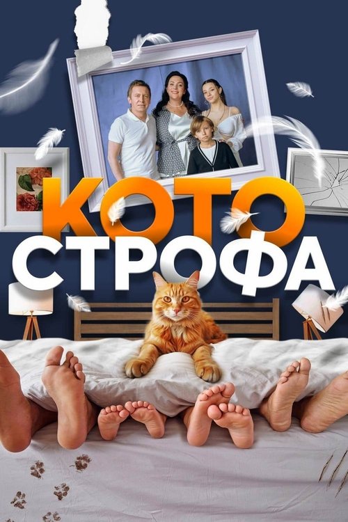 Póster de Котострофа
