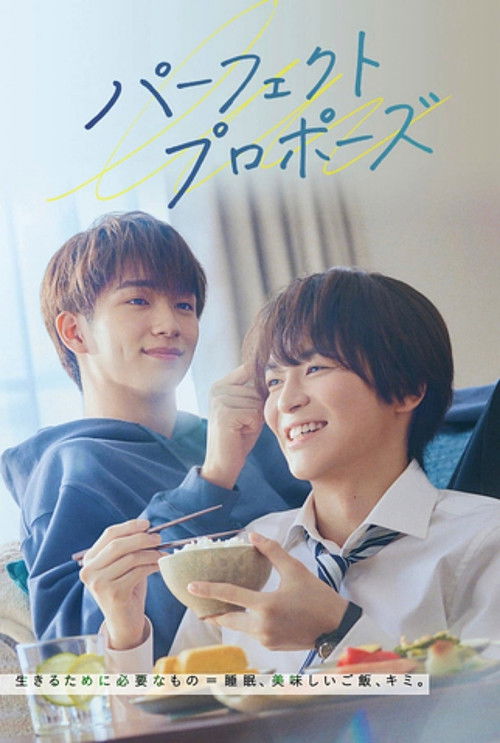 Póster de パーフェクトプロポーズ
