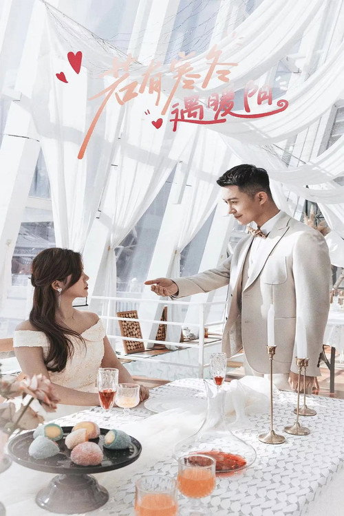 Póster de 若有寒冬遇暖阳