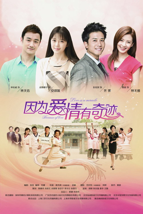 Póster de 因为爱情有奇迹