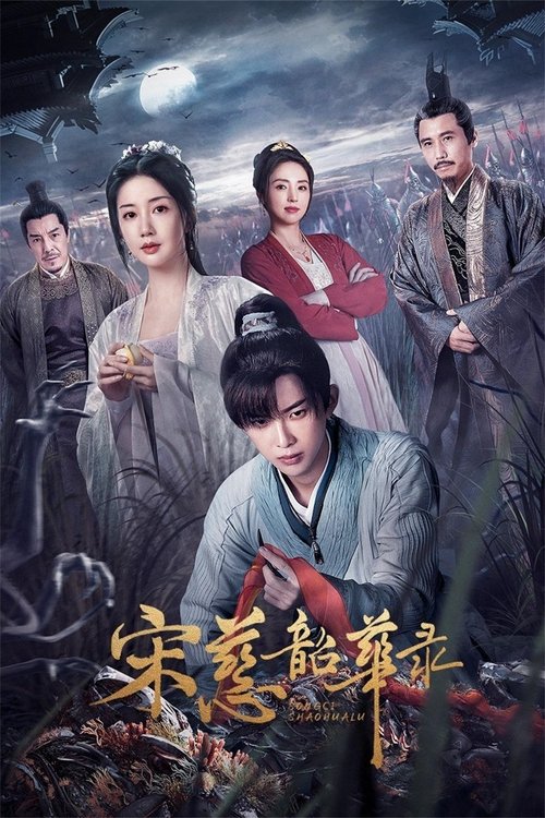 Póster de 宋慈韶华录