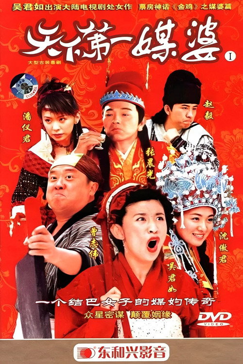 Póster de 天下第一媒婆