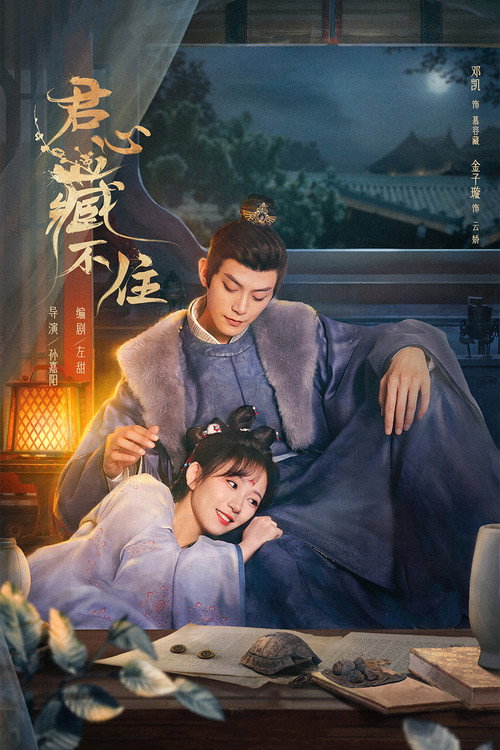 Póster de 君心藏不住