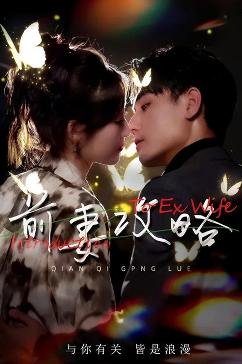 Póster de 前妻攻略