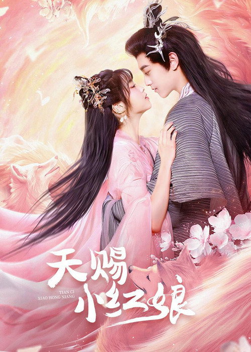 Póster de 天赐小红娘